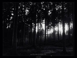 [ Slenderman Forest ] by IGNIS-THE-KILLER