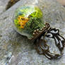 Terrarium Moss Ring