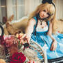 Alice cosplay