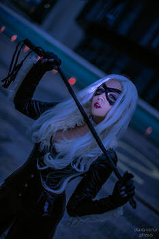 Black Cat Cosplay