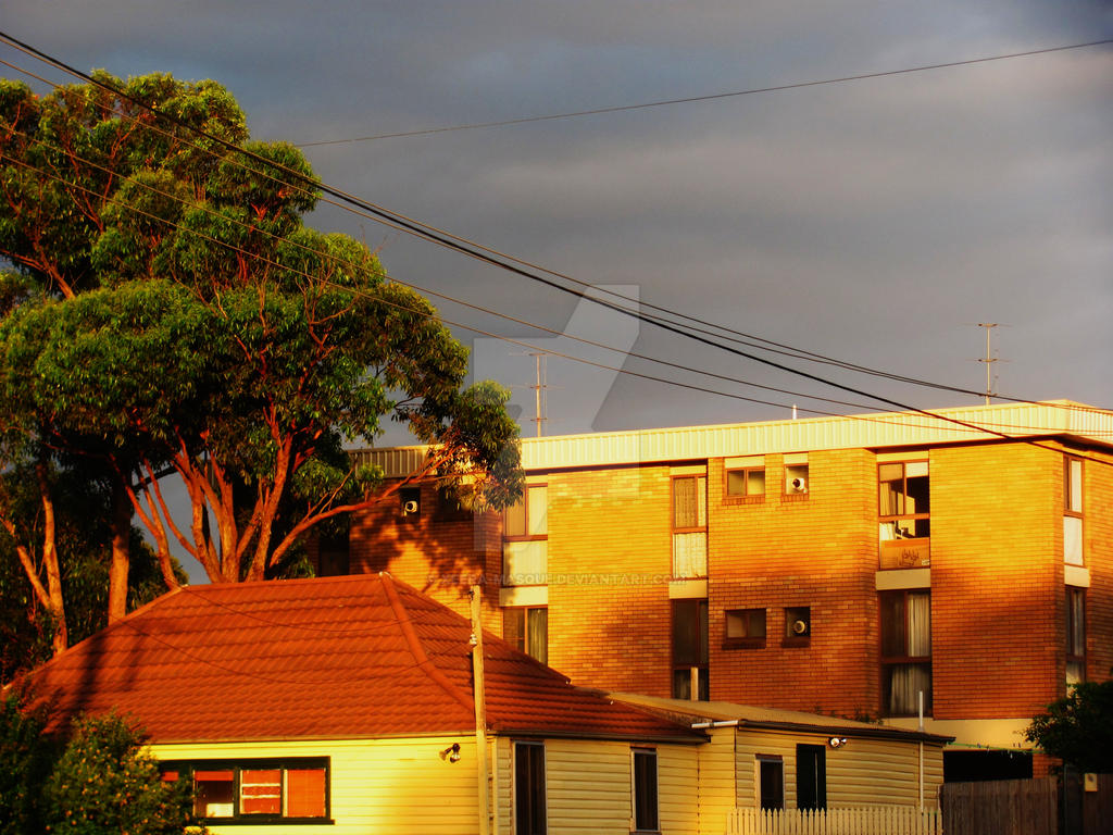 Sunny Apartments