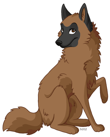 Belgian Tervuren