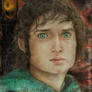 Frodo Baggins_Bolson