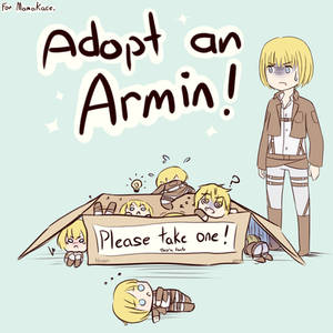 Adopt an Armin!