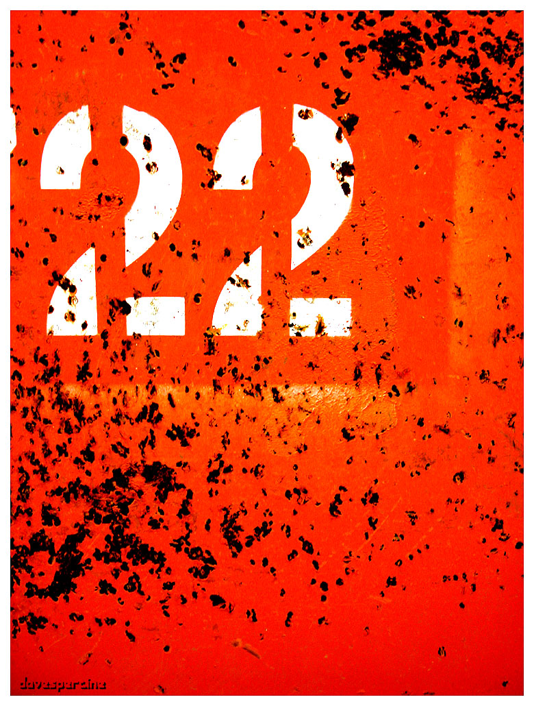 number 22 orange