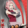 Naruto  Ninja Master Sakura Haruno