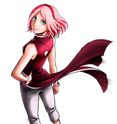 コミック アニメグッズ 陰山織物謹製 Naruto ナルト 春野サクラ Ethsxlrfdw Www Casg Cl コミック アニメグッズ 陰山織物謹製 Naruto ナルト 春野サクラ Ethsxlrfdw Www Casg Cl