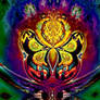 Phoenix Butterfly