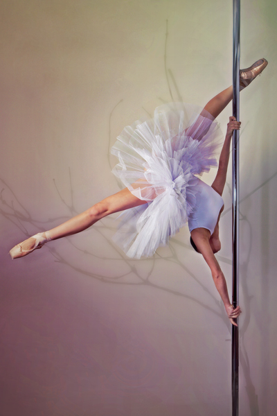 Vertical Ballet : Pole Art