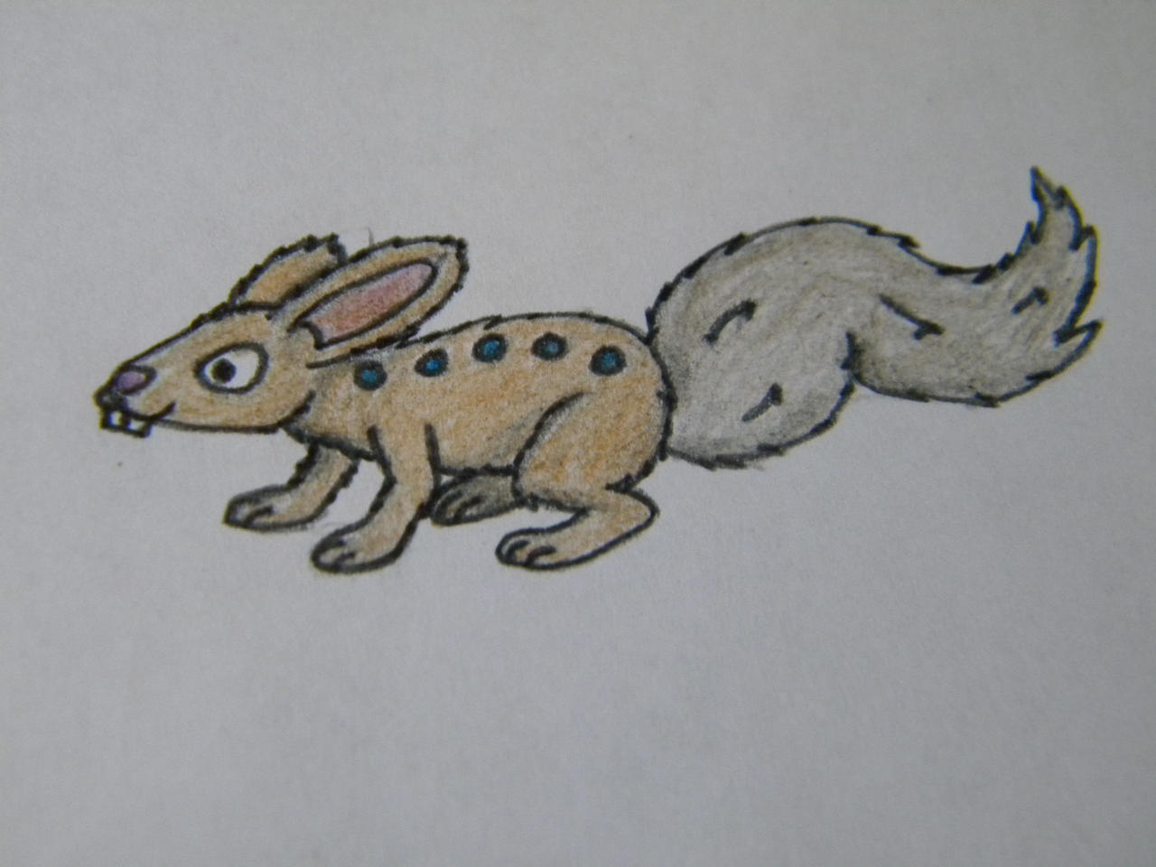 Squabbit, the Kit Pokemon by Uskius on DeviantArt