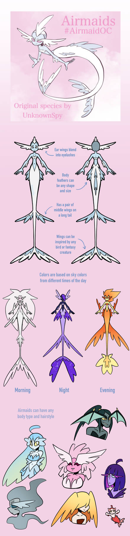 Airmaid Open Species Reference Sheet