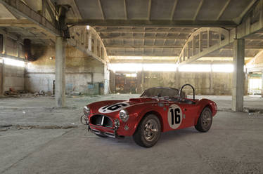 SHELBY AC COBRA 289 - 3ds Max Model