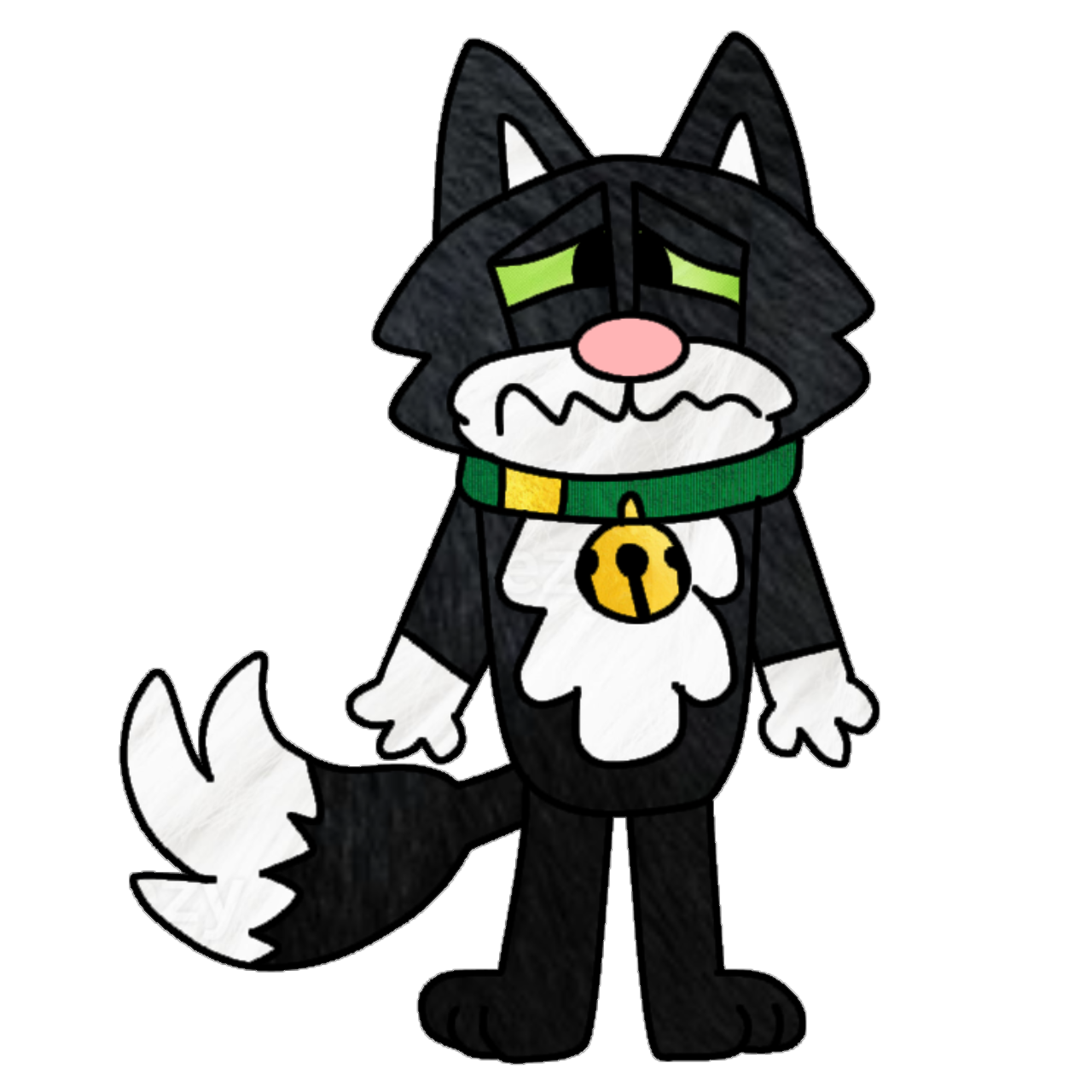 CC the cat shy