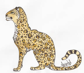 Leopardo (leopard)