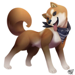 Shiba-inu