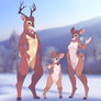 Rudolphs fam