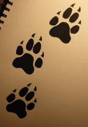 Wolf paw print tattoo
