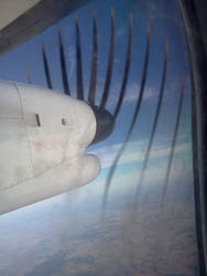 Propeller Lines Vertical