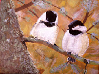 Chickadees in Spring