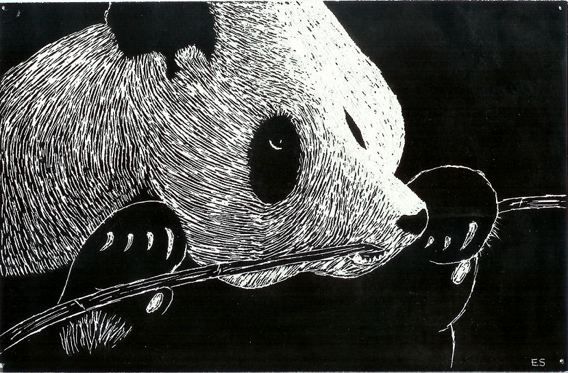 Scratch Panda by Rice-is-Really-Tasty on DeviantArt