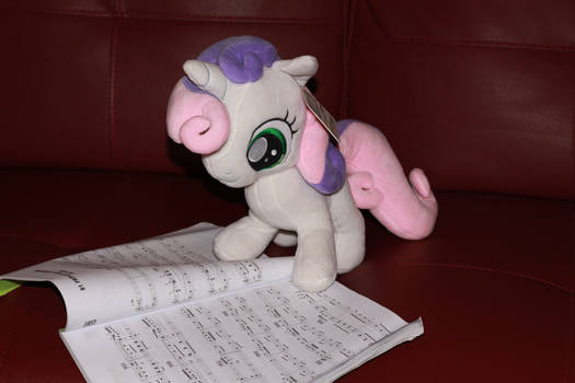 Sweetie Studies Music Theory