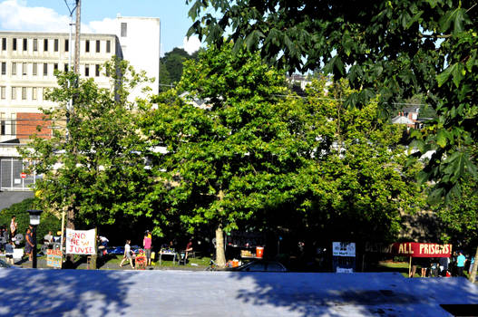 Anti-Jail Camp in Seattle