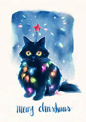 Christmas cat 2022