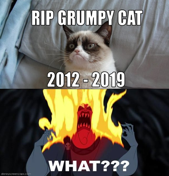 Grumpy Cat Has Passed Away