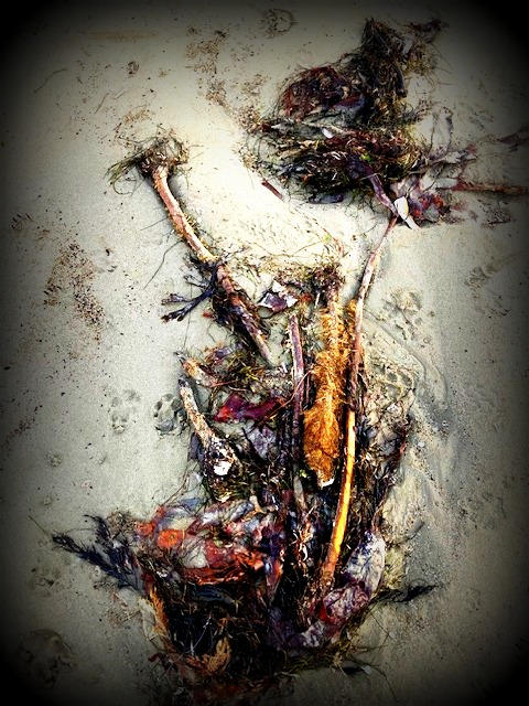 Exclusive Corpse Exquisite Corpse by SophieDereal on DeviantArt