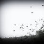 When The Sky Begins To Fall