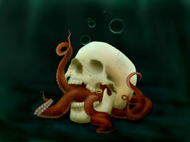 octopus and skull