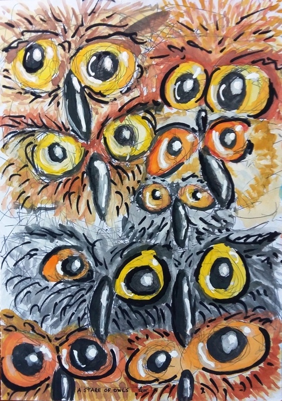 A stare of owls