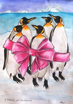 A parcel of penguins