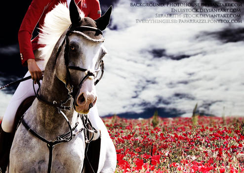 |Poppies| Manipulation