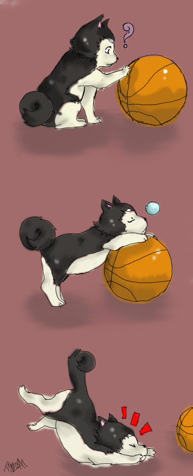 Seirin's Little Mascot