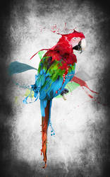 Parrot Ink