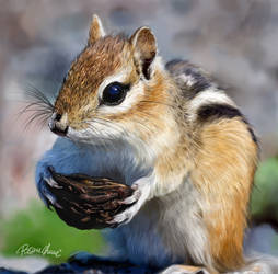 Squirrel Digital Painting