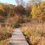 A-clean-New-England-pathway-in-Darien-CT-that-Wint