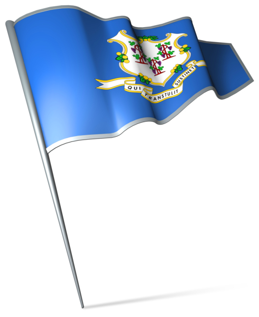 The-waving-flag-of-Connecticut-which-Winters-Broth