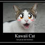 Kawaii cat