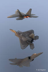 F-22 Raptor