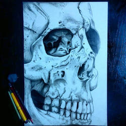 a skull ..