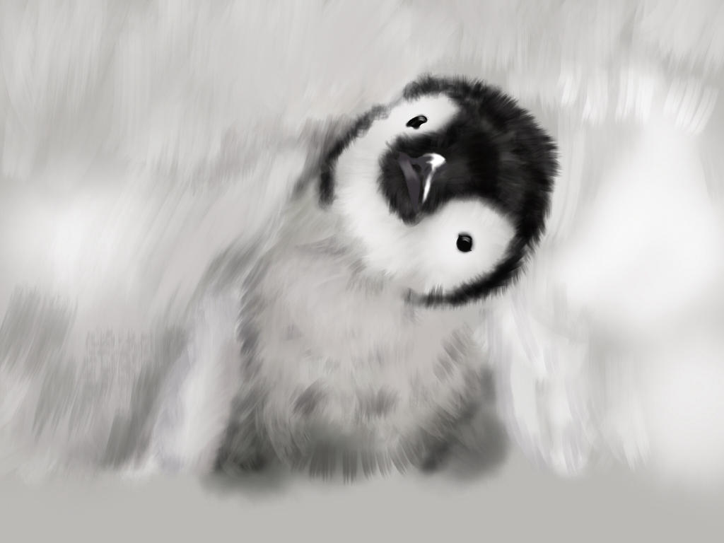 Baby penguin