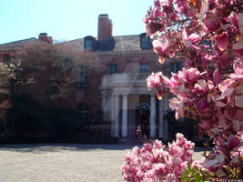 FILOLI ESTATE