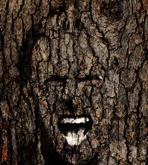 Angry Tree by conbagui on DeviantArt