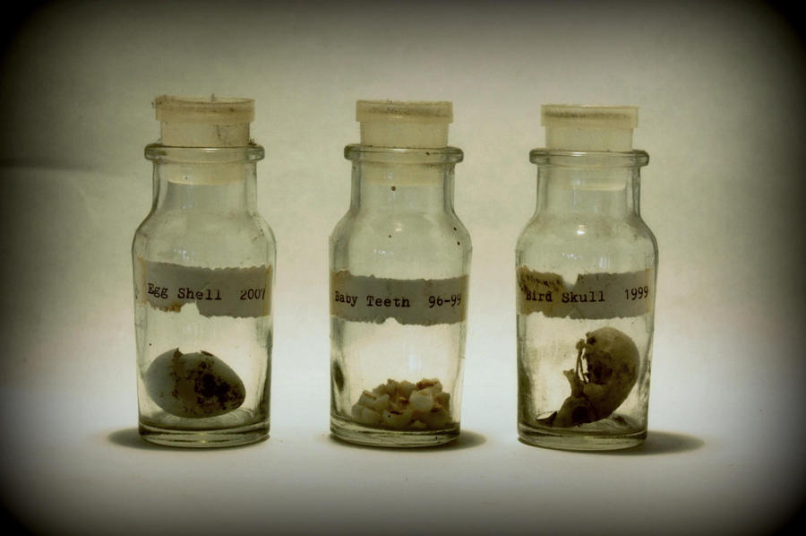 Decayed Shells Decay by TABBED on DeviantArt