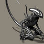 A new Xenomorph mesh render