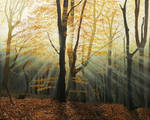Autumn Rays by Silverwolf1345