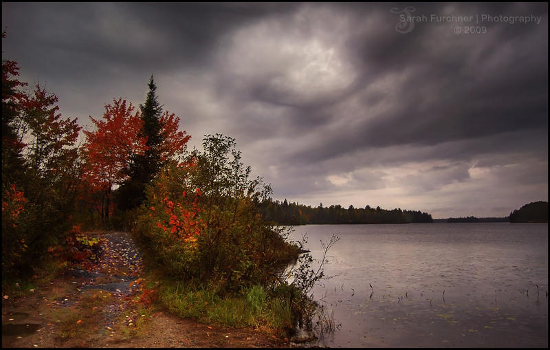 Autumn's Trail