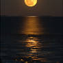 I See A Bad Moon Rising